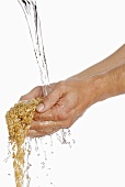 Someone holding two hands full of oats under running water