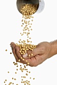 Someone pouring soya beans into their hand
