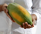 Hands holding a papaya