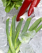 Spring onions, chillies and mint on ice