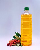 Olive oil in a plastic bottle