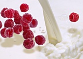 Fresh raspberries falling into milk