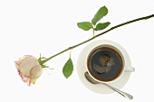 Rose and cup of coffee
