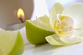 Aroma lamp with lime and orchid