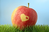 Red apple with heart in grass (blue background)