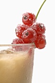 Coco Sour with sugared redcurrants (detail)