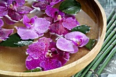 Orchideenblüten in Wasserschale