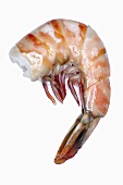 A cooked prawn