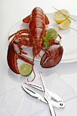 Lobster on plate, lobster utensils beside it