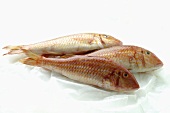Three red mullet on paper