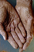 Hands covered in cocoa powder