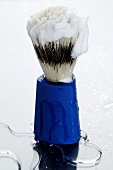 Shaving brush with shaving soap