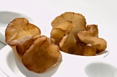 Jelly fungus in a china dish