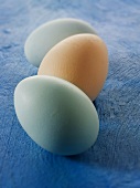 Three pastel-coloured Cotswold Legbar hens' eggs