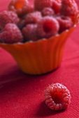 Fresh raspberries in a dish