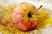 A Gala apple