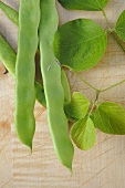 Climbing beans with leaves