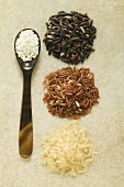 Four different types of rice