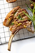 Grilled lamb cutlets with herb oil and rosemary