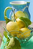 Frische Zitronen mit Blättern im Drahtkorb