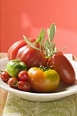 Assorted tomatoes with olive sprig on plate