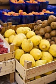 Zitronen, Kiwis und Aprikosen auf dem Markt