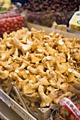 Fresh chanterelles in a crate at a market