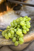Fresh green grapes on a stone sink