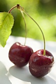 Two cherries with stalk and leaf on table in open air