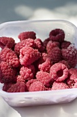 Fresh raspberries in plastic container