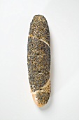 Pretzel stick with poppy seeds