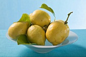 Several lemons with leaves in a bowl