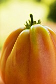 Eine Tomate (Close Up)
