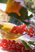 Honey and redcurrants