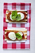 Two tomato and mozzarella toasts with basil