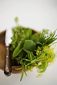 Assorted herbs in wooden bowl with knife