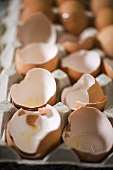 Eggshells in egg box