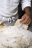 Making olive bread (kneading the dough)