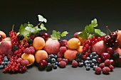 Obststillleben mit Steinobst, Beeren und Blättern