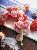 Sugared berries on tea towel (close-up)
