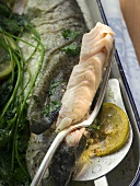 Roast trout (detail)