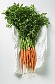 Fresh carrots on paper