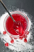 Jar of redcurrant jelly with spoon, sugar and redcurrants