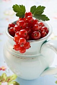 Redcurrants with leaves in a jug