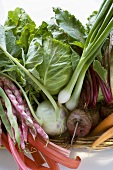 Fresh vegetables in basket