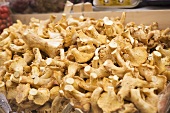 Fresh chanterelles in a crate at a market