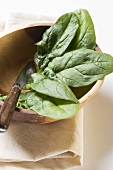 Several spinach leaves in wooden bowl with knife