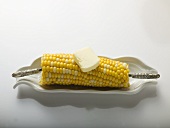 Corn cob with knob of butter in white dish