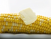 Corn cob with knob of butter (close-up)