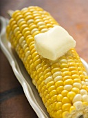 Corn cob with knob of melting butter